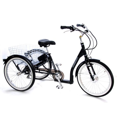 Electric Bikes and Trikes